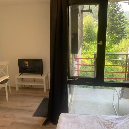 Kleines Einzimmer-Apartment 14 Bad Wildbad Ngoại thất bức ảnh