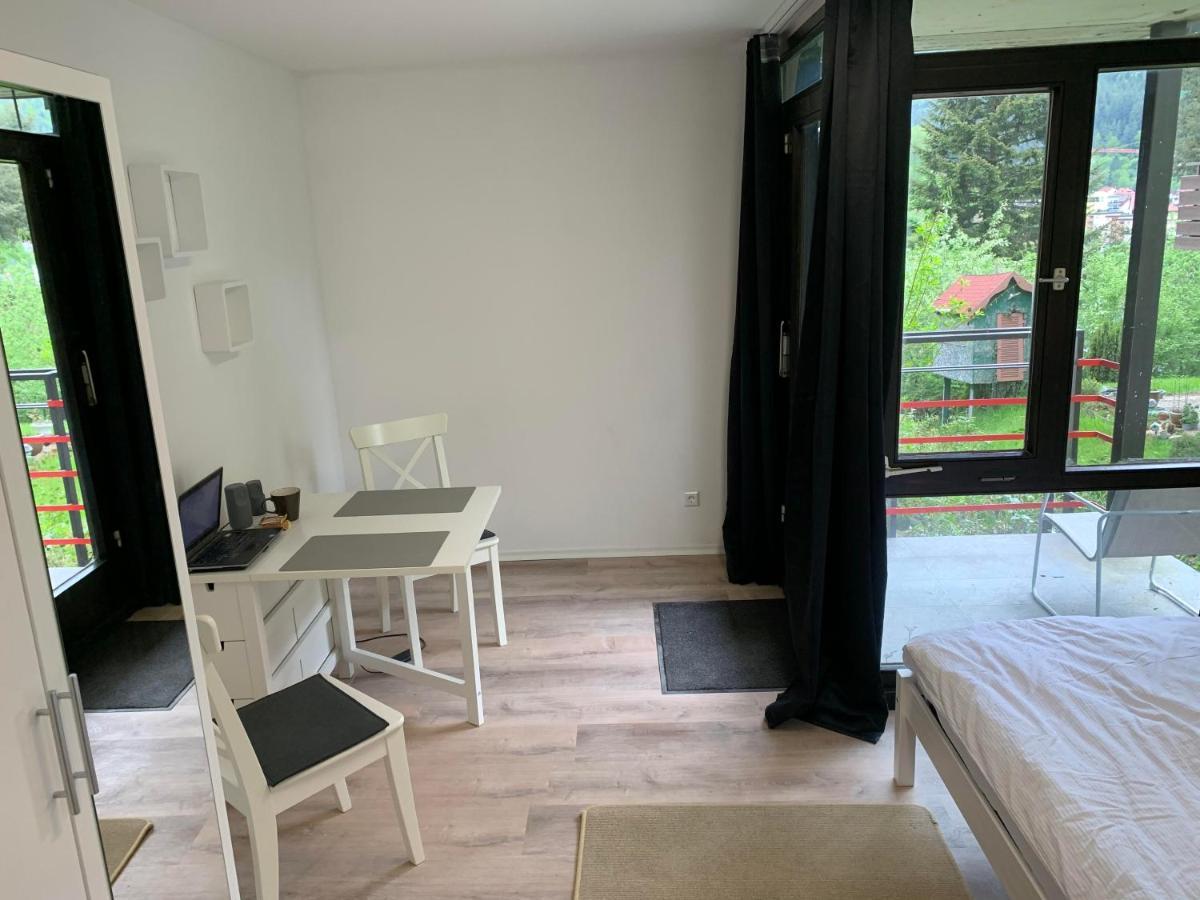 Kleines Einzimmer-Apartment 14 Bad Wildbad Ngoại thất bức ảnh