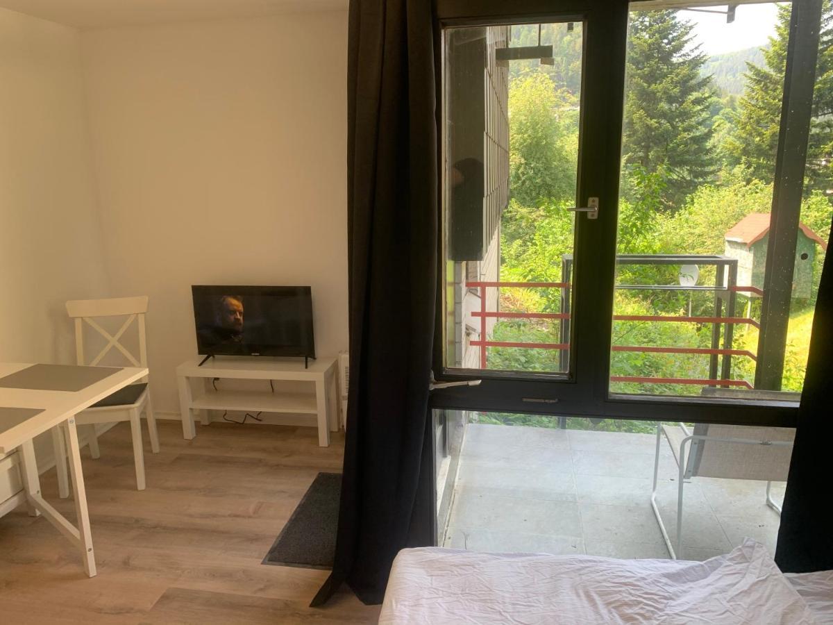 Kleines Einzimmer-Apartment 14 Bad Wildbad Ngoại thất bức ảnh